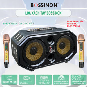 Loa hát karaoke xách tay thương hiệu Bossinon N2292K - công suất 600W- Bảo hành chính Hãng 12 tháng tại nhà (bình + micro bảo hành 6 tháng)