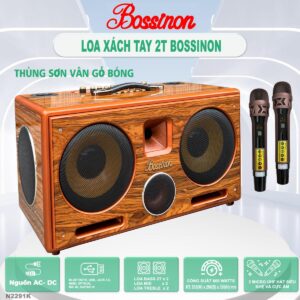 Loa karaoke xách tay Bossinon N2291K – Công suất 600W- 2 Bass 2 tấc