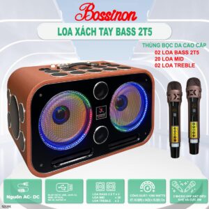 LOA  BOSSINON BASS 2T5 N2536K- MÀU NÂU CÓ ĐÈN- THÙNG BỌC DA CAO CẤP | LOA CHUYÊN KARAOKE, NGHE NHẠC