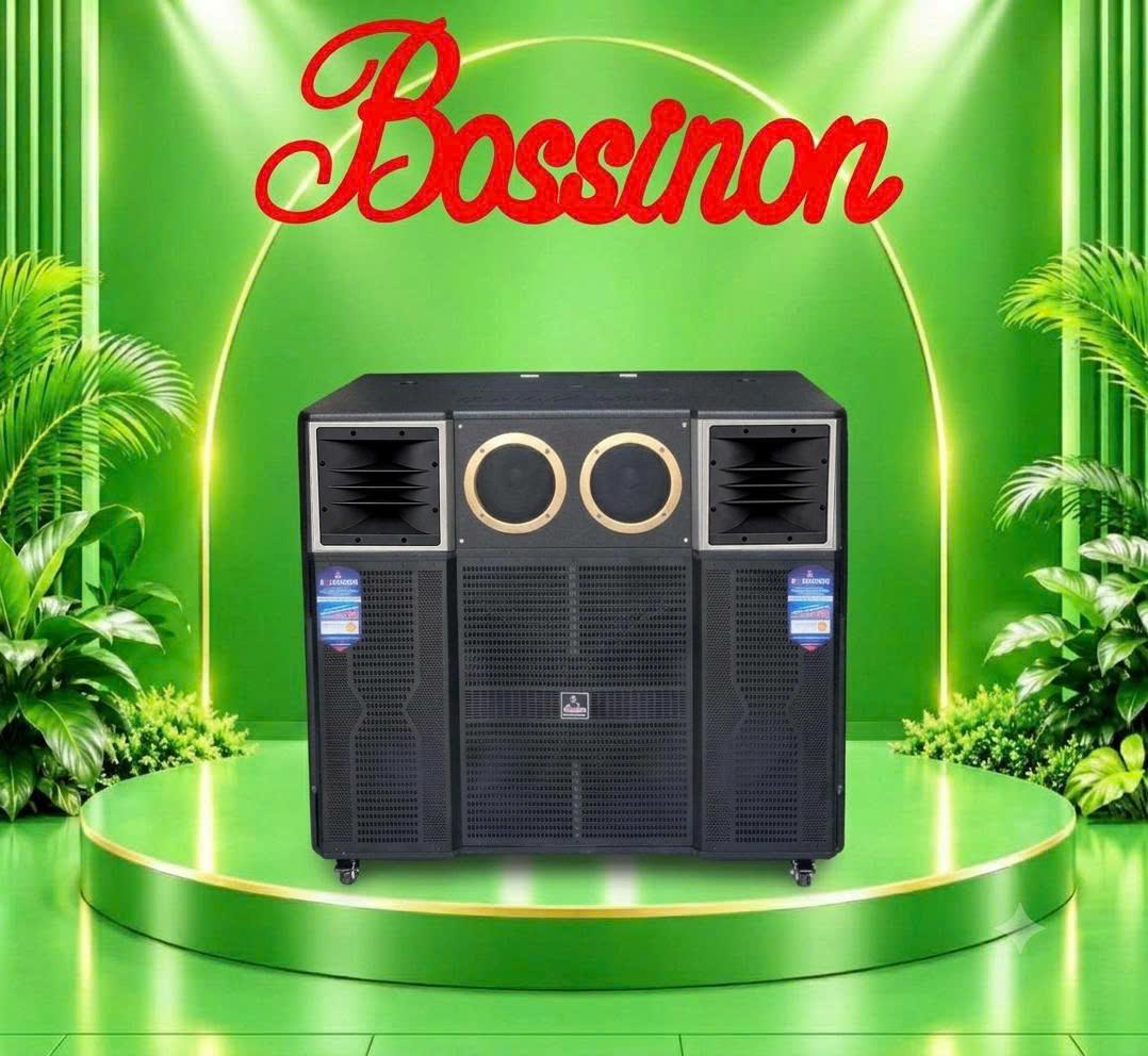 LOA BOSSINON BASS ĐÔI 5 TẤC N9128K | LOA CHUYÊN KARAOKE, NGHE NHẠC